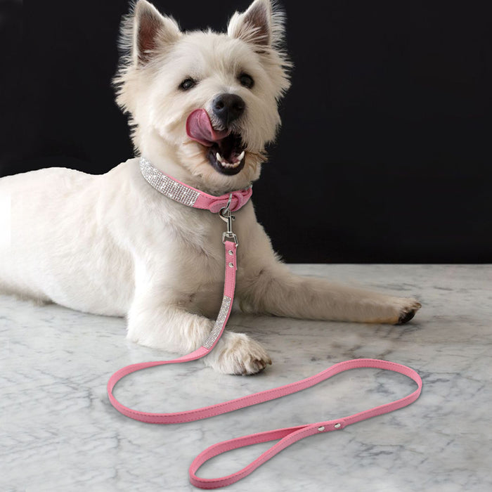 Hot dog collar