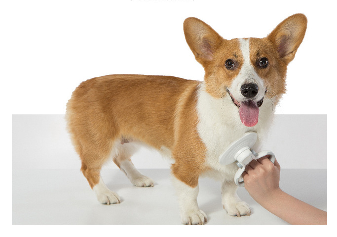 Self-cleaning wire brush for pets